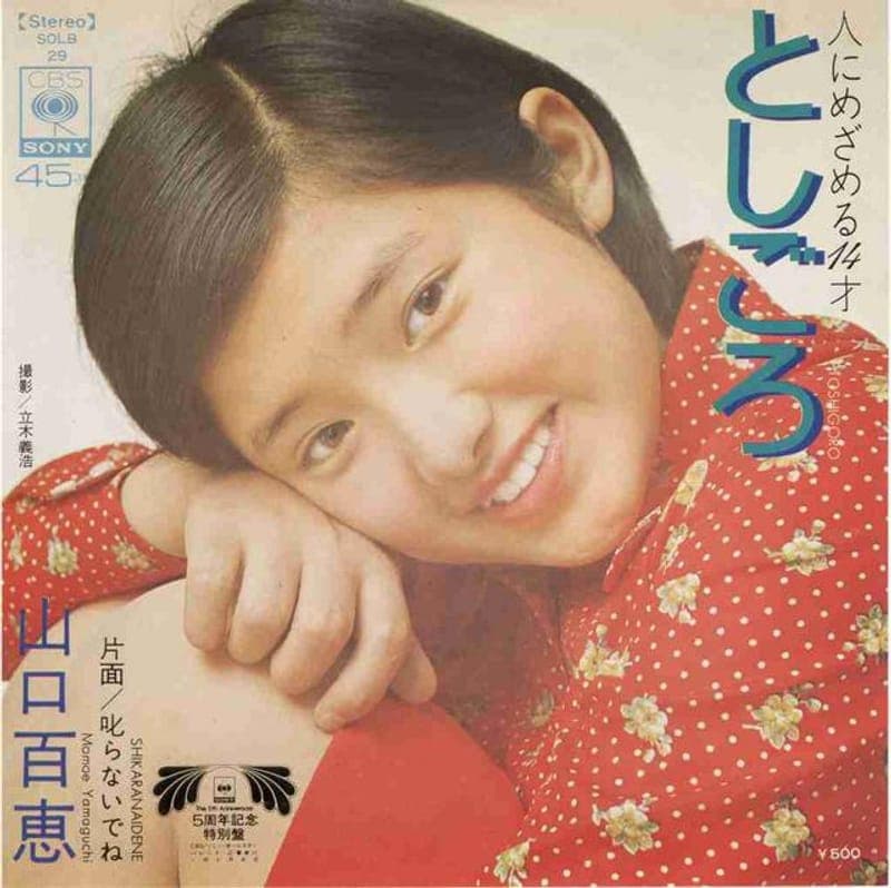 Toshigoro - Shikaranaidene