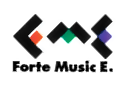 Forte Music Entertainment
