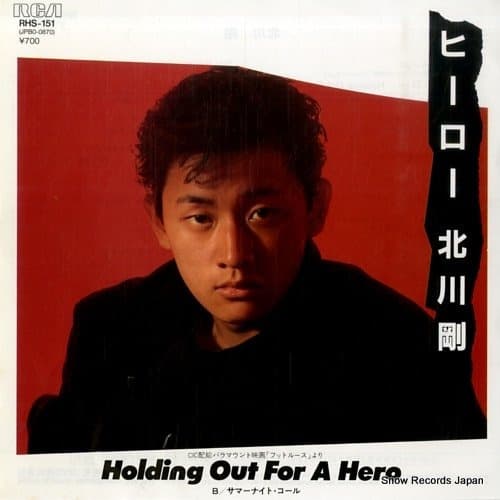 Hero ~Holding Out For A Hero~ - Summer Night Call