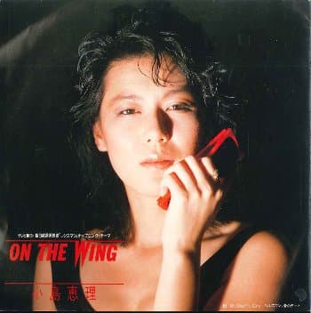 On The Wing - Don't Cry