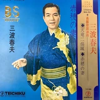 Tenryu Futamata Shiro