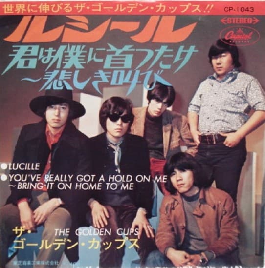 Lucille - You'Ve Really Got a Hold On Me Brint It on Home to Me