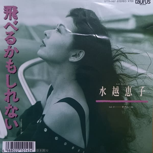 Toberu Kamo Shirenai - Mon Amour